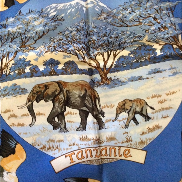 Hermes scarf Tanzanie silk 90cm (regular size) - Picture 8 of 9